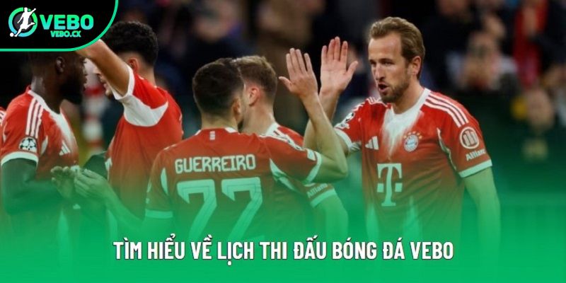 Tìm hiểu về lịch thi đấu bóng đá VEBO